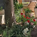 Guest house Bouganvillea 3*