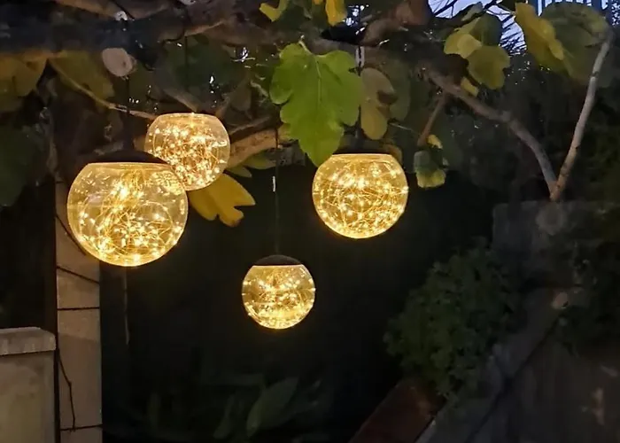 Bougaville Senigallia