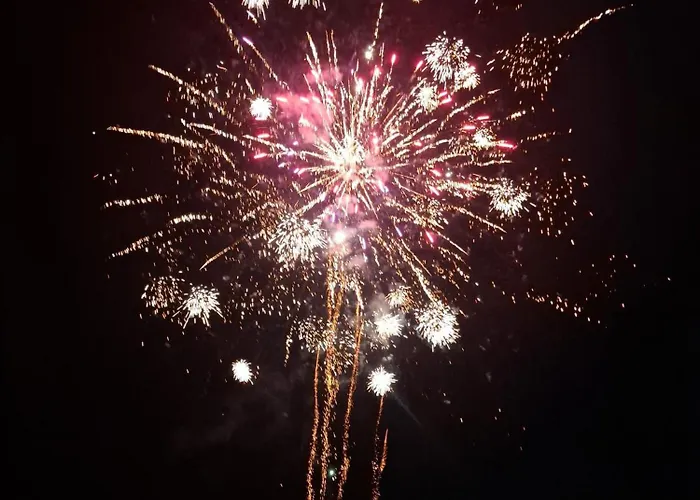 Bougaville Pensión Senigallia