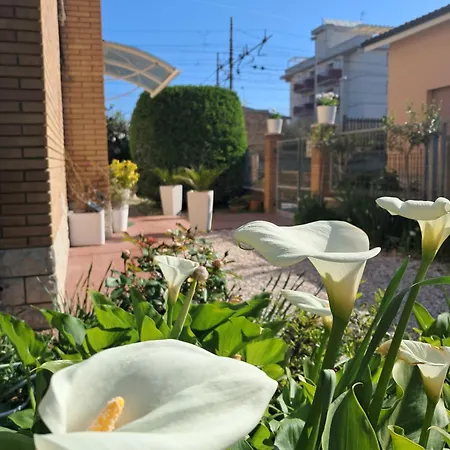 Bouganvillea Vendégház