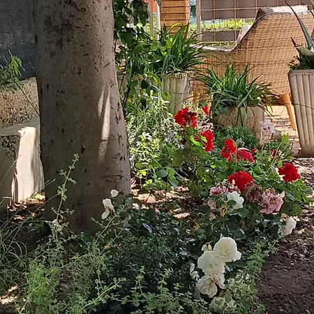 Vendégház Bouganvillea 3*