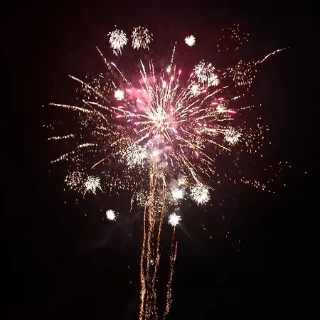 Bougaville Gasthof Senigallia