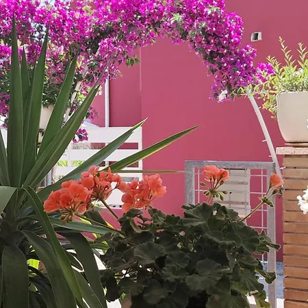Bouganvillea Vendégház