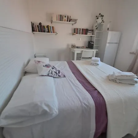 Bouganvillea 3*