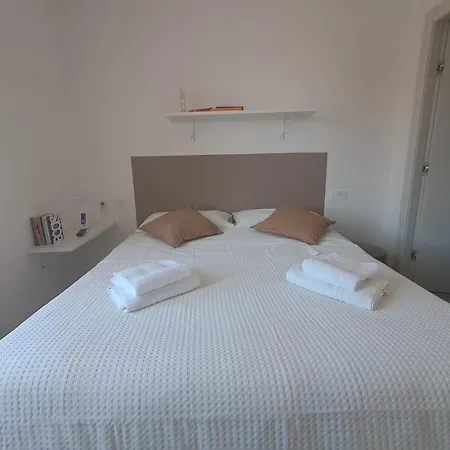 Bouganvillea 3*