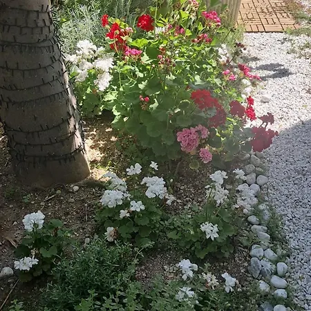 Bouganvillea Vendégház Senigallia