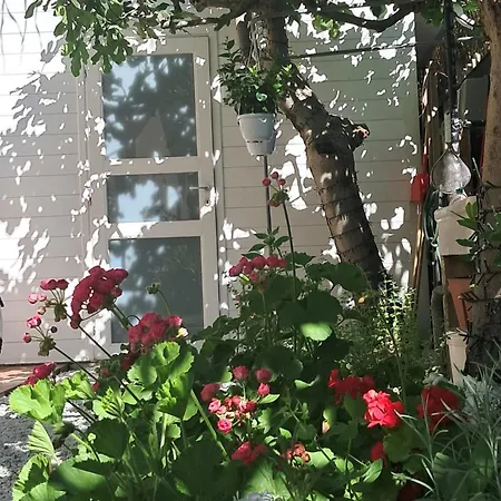 Bouganvillea Vendégház