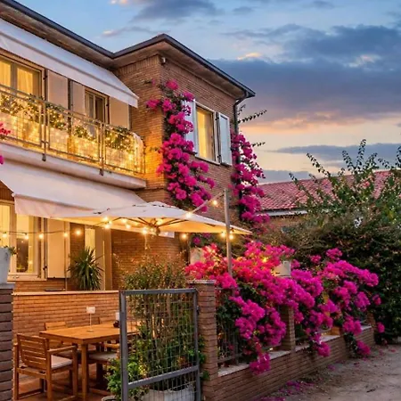 Bouganvillea Guest house Senigallia