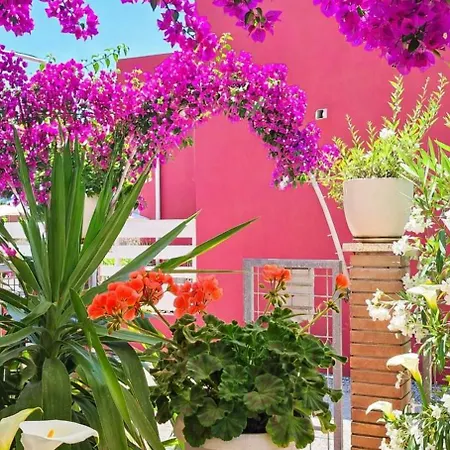 Bouganvillea Guest house Senigallia