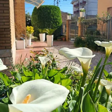 Bouganvillea Guest house 3*