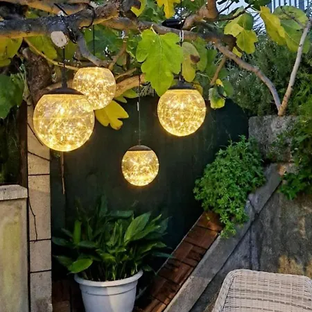 Bouganvillea 3*