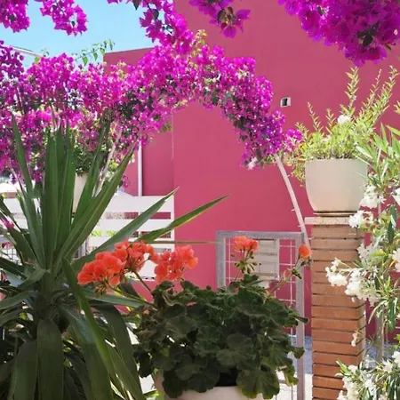 Bouganvillea Guest house