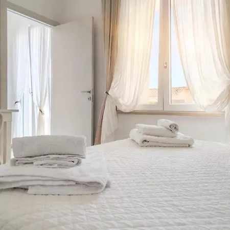 Bouganvillea 3*