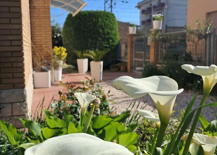 Bougaville Guest house