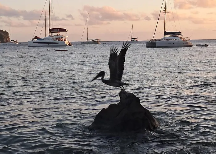 Gasthof Bougaville *