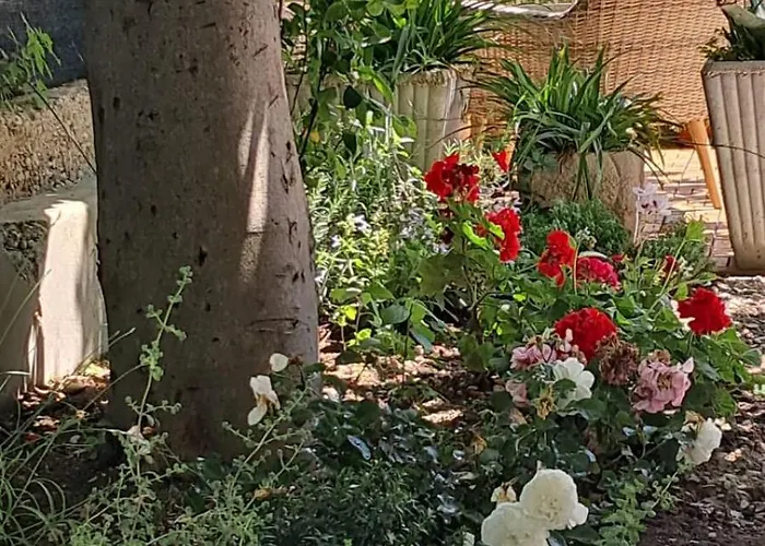 Guest house Bougaville *