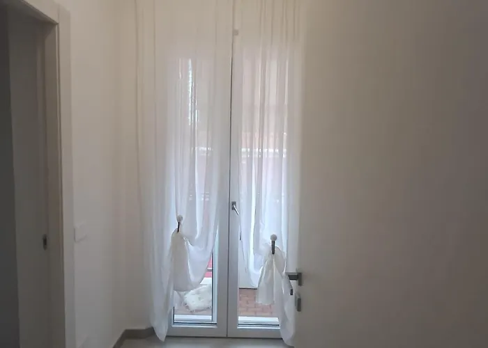 Bougaville Senigallia